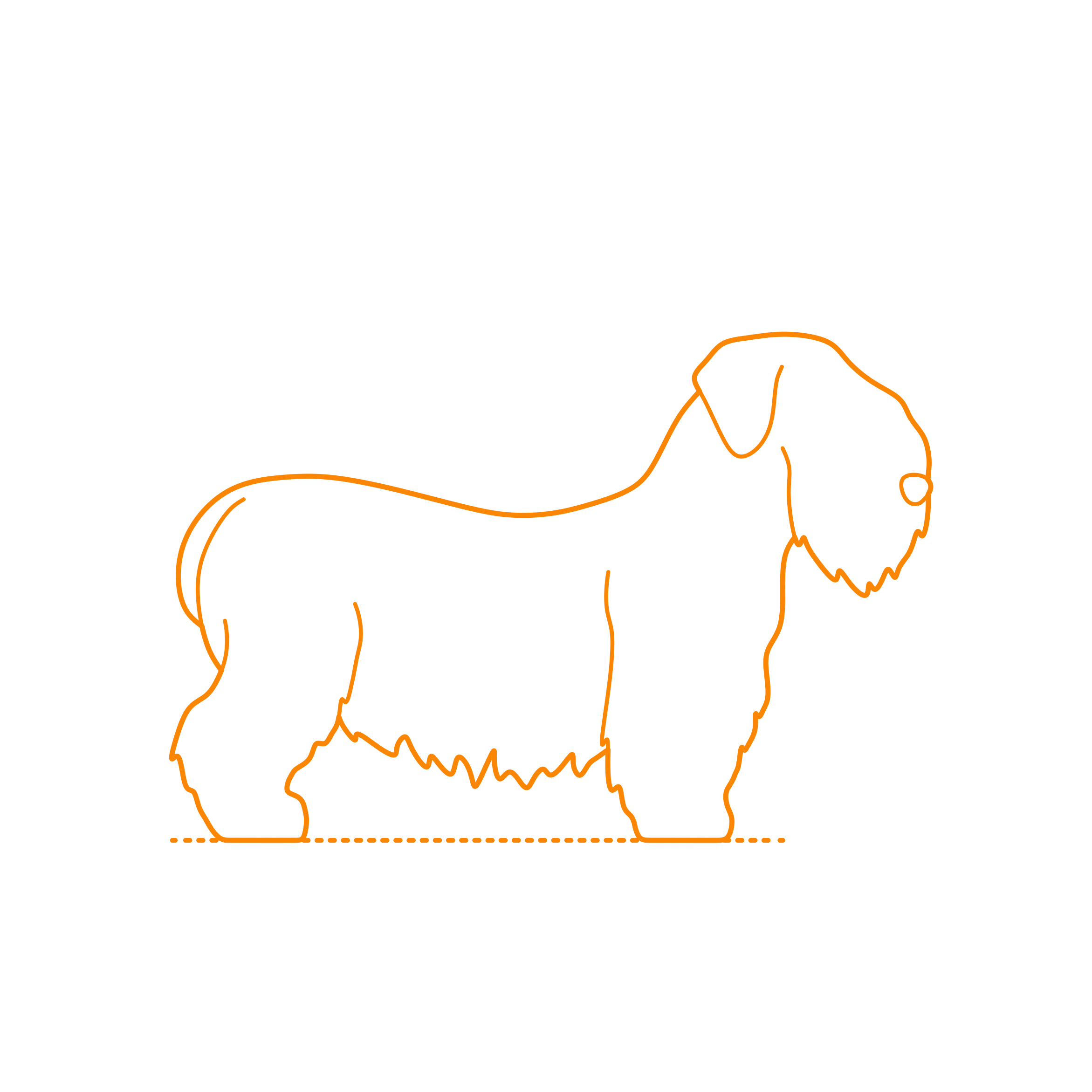 Animals Dogs Cesky Terrier Laser Cut Svg File Free Vectors